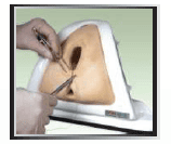 PERINEUM CUTTING AND SUTURING TRAINING SIMULATOR (IMPORTED)